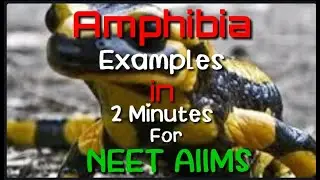 Amphibia Examples Trick For NEET AIIMS | Study Tricks by Ishu