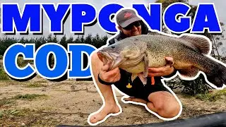 Fishing For BIG Murray Cod 🎣 (Fishing South Australia)