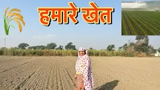 हमारे खेत 😍 || Life with Sweety ||