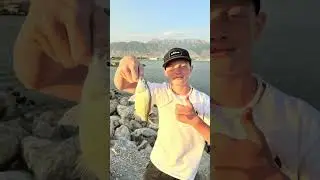 Fishing at Utah Lake was INSANE today!! 😱