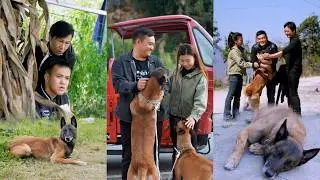 失而复得！与狗狗感人重逢，爸爸妈妈泪流满面的感人时刻！🐶❤️
