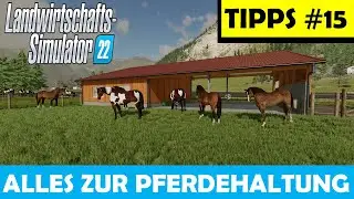 LS22 🚜 EINSTEIGER TIPPS #15 🍂 ALLES ZUR PFERDEHALTUNG 🍂 Stallbau, Tiere, Futter + Pflege !