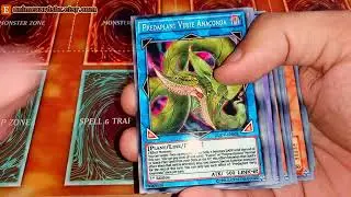 Yuri TCG Deck ARC-V