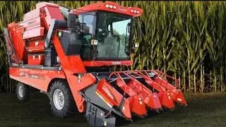Sweet Corn Harvester Machine in Action | Fast Efficient Corn Harvesting Machine #SweetCornHarvester