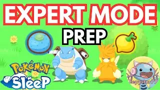 HOW TO PREP FOR EXPERT MODE using RaenonX Calculator | Husky Sleeps