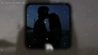 Zalima Love Song Status |WhatsApp status |Aesthetic status | Lofi Remix | RED heart 4K