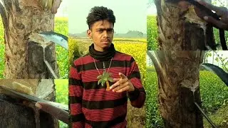 Khejur gach cutting full video#newshorts #like #comment #share #subscribe #viralvideo #viralshort 