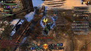 Neverwinter Etrien Companion Test #2