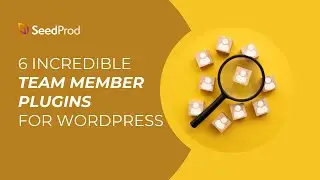 6 ЛУЧШИХ плагинов WordPress для членов команды по сравнению с 2025 годом