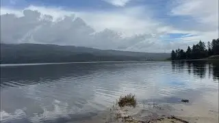 Fly Fishing the Northern California Coast for Trout #fish #fishing #flyfishing
