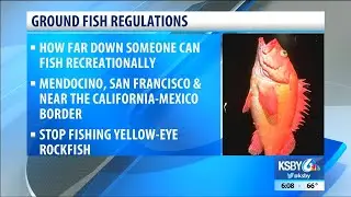 New recreational fishing restrictions for some parts of Oregon and California state lines