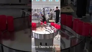 Automatic Capping Machine -Screw On Cap,Plastic Screw Cap Capper ,Capping Machine with elevator