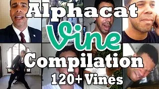 Best of Alphacat/Obama Compilation [120+ VINES!]