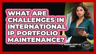 What Are Challenges in International IP Portfolio Maintenance?