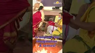 Shata Chandi Homa | Vaidic Celebrations at The Art Of living International Center, Bangalore