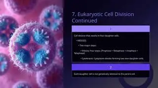 Class 11 BIOLOGY | Cell Cycle and Cell Division | Complete Tutorial | ELCAAS