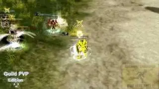 SRO PvP Warrior / Cleric xMaKaKo_ vs your Guild (SealOfHunter) and BONUS track w/ SPECIAL CHAR