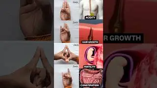 Best mudra #yogafusionpriyanshi #youtubeshorts #yt #shorts #youtube #mudra #yoga