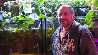 Vorteile und Nachteile des oben offenen Aquariums