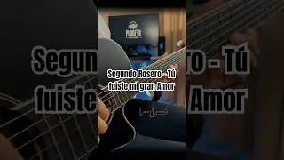 Segundo Rosero - Fuiste mi gran amor | Guirra Nylon Cover