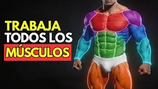 ¿Pasaste los 50? Estos son los MEJORES EJERCICIOS para FORTALECER TODO EL CUERPO con SEGURIDAD!