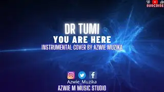 Dr Tumi - You Are Here | Instrumental Cover