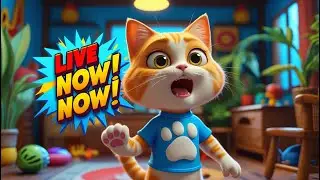 Tom new house fun 🏠 🐈#live #funnytom #funnycatlive #funnytomlive #ASMR #TomASMR