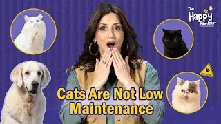Your Ultimate Cat Parenting Guide | Hosted by Sonali Bendre Ft. Rohan Joshi & Saquib Pathan