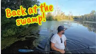 Which FISHING Lure is better? ZMAN TOADZ or CHOPPO