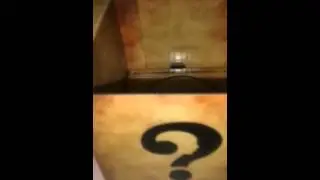 The Money Maze Puzzle