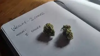 Weslxy - 2 Conez (Audio)