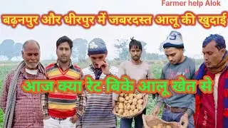 ग्राम बढ़नपुर धीरपुर में आज जबरदस्त आलू खुदाई क्या रेट बिके आलू #फसल #आलू #farming #बिक्री #खेती 