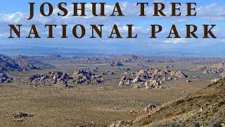Joshua Tree National Park | Hiking Wall St Mill Trail | Ryan Mountain Trail | California | Jan. 2023