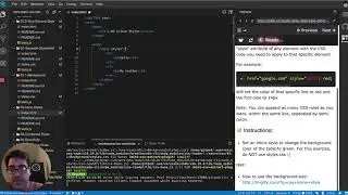 How to do inline styles in css - CSS Interactive Exercises/Course