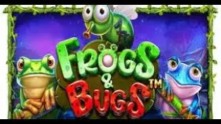 Frogs & Bugs | New Game Big Wins