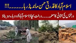 Thousand of trees cut In Islamabad::Allergy Solution or environmental concern??