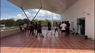 Danza ICRD ensayo