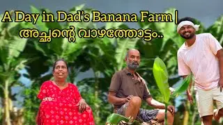 A Day in Dad&rsquo;s Banana Farm | അച്ഛന്റെ വാഴത്തോട്ടം 🌿 #farm #bananafarm 