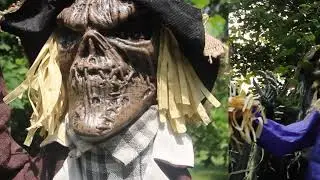 2021 Haunted Cornfield Halloween Collection | Haunted Hill Farm