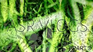 Night Forest sounds|ASR VLOGS