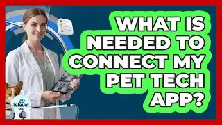 What Is Needed To Connect My Pet Tech App?