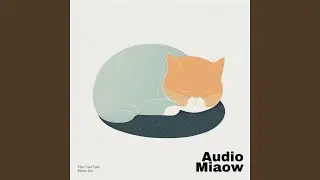 Feline Serenity