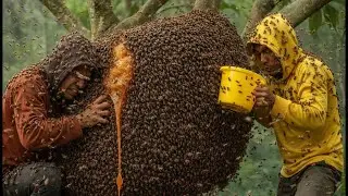 Forest Honey Harvest 2026 &ndash; Dramatically Dropping the Lighter