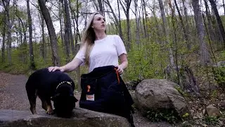 Pawsome Pet Products - Infomercial