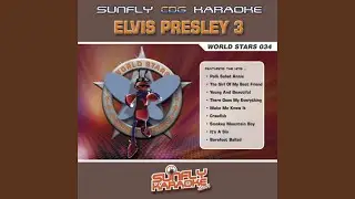 Stranger in the Crowd in the Style of Elvis