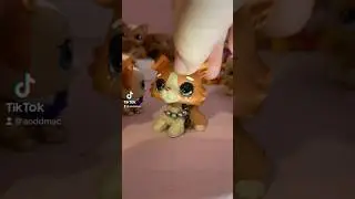 New custom! #littlestpetshop #edit #lpscommunity #lps #lpstube #lpscustom