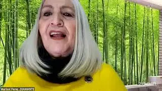 El ADN de un Diamante por Marisol Pérez González