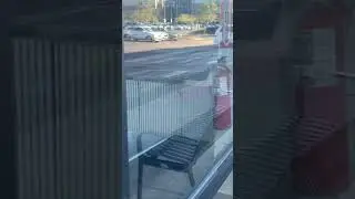 Abandoned hot chicken takeover