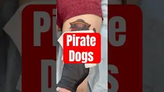 🏴&zwj;☠️PIRATE DOGS #tattooreveal #tattooartist #newschooltattoos