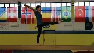 Tutorial equilibri e andature a trave